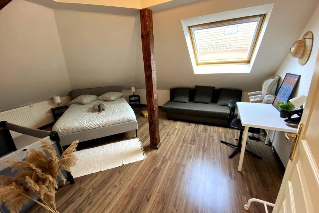 דירות Bischheim 10Min Bus Strasbourg Centre-Parking Prive-Wifi-Tv מראה חיצוני תמונה